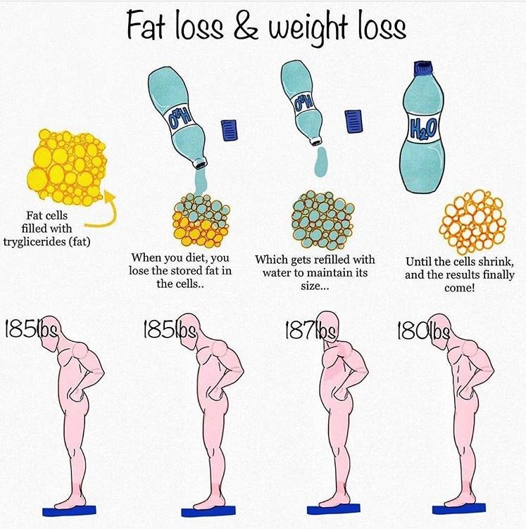 Fat Loss VS Weight Loss Crossfit F15